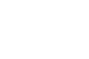 Veritech