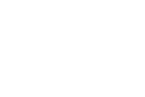 Verisoft